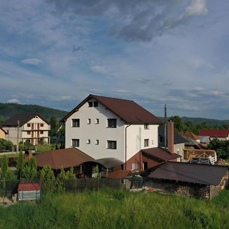 Pensiunea Lacul Albesti Albestii Paminteni Exteriér fotografie