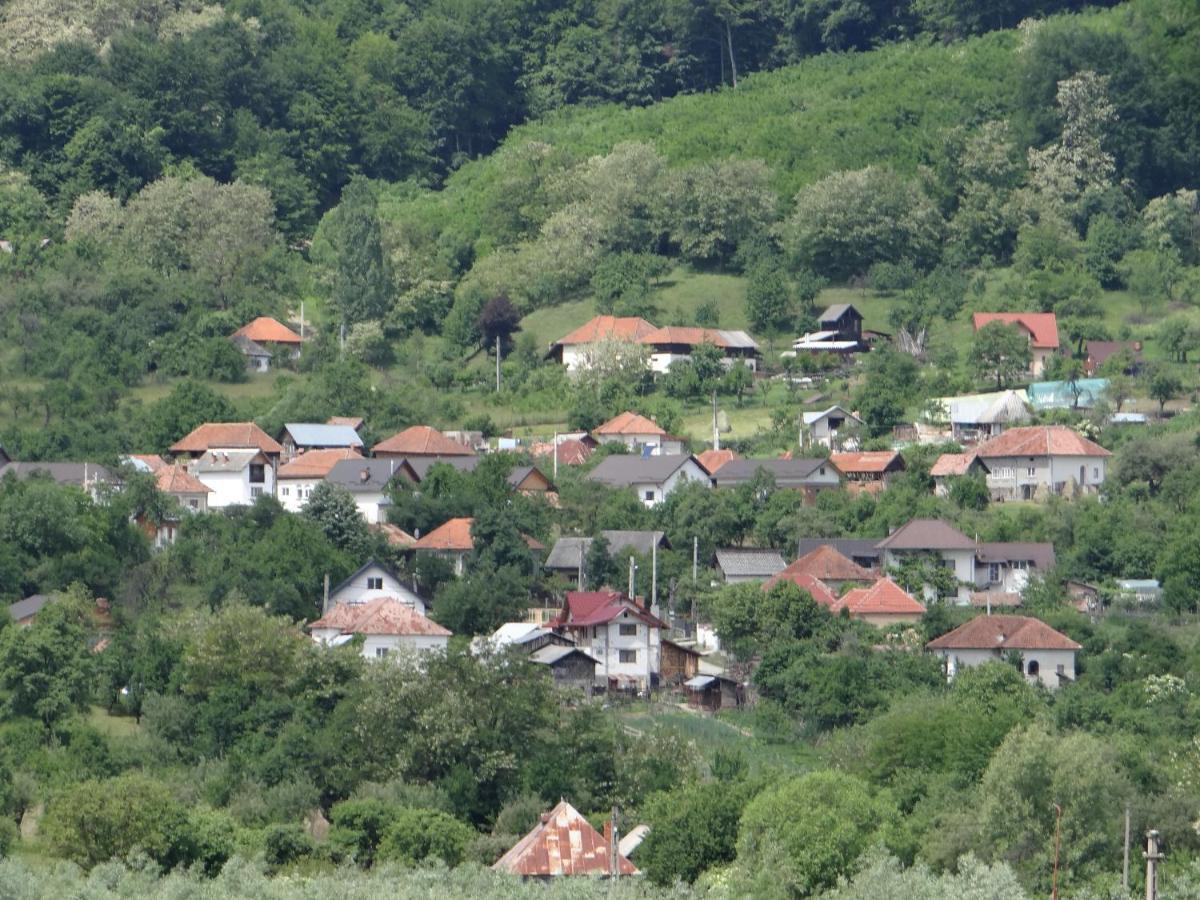 Pensiunea Lacul Albesti Albestii Paminteni Exteriér fotografie