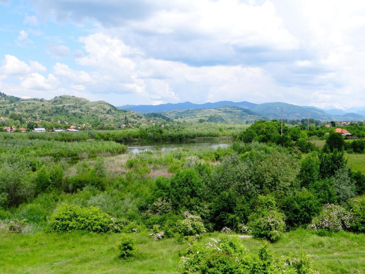 Pensiunea Lacul Albesti Albestii Paminteni Exteriér fotografie