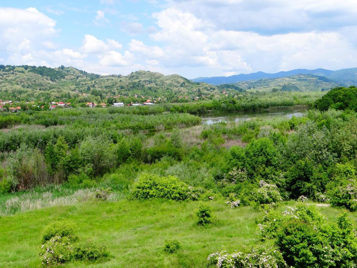 Pensiunea Lacul Albesti Albestii Paminteni Exteriér fotografie